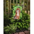 thumbnail image 2 of Carolines Treasures CK1807GF Shamrocks Cavapoo Garden Size Flag, 2 of 3