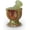 Multi Green, variant on Mini Mortar and Pestle Set - 2.5? Marble Stone  with Polished Bowl & Non-Slip Base | Small  ,   &