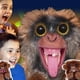 thumbnail image 5 of Prank Monkey Toy,Surprise Prank Monkey Toy,Pet Pranksters, Pop Up Monkey Prank New, 5 of 5