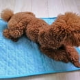 thumbnail image 3 of Flmtop Tapis Rafraîchissant Confortable en Tissu Respirant pour Chien pour l'Été Bleu, 3 of 9