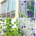 thumbnail image 3 of Mr. Garden Plant Netting,Tomato Trellis Netting, Vegetables,Flowers,Fruits,Cucumber Climbing Garden Netting 5ft x 12ft(1),White, 3 of 4
