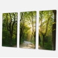 thumbnail image 1 of Designart - Evening in Green Forest - Landscape Canvas Art Print, 1 of 3