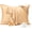 Champagne, variant on Pure Silk Pillowcase 2 Pack for Hair and , Both Sides 23 Momme Grade 6A+ Mulberry Silk Pillowcases with  Zipper, Soft&Smooth Cooling Pillow Cases (Buff Beige,  20x36)