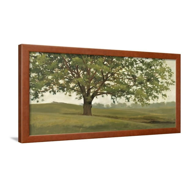Wisdom Grows Framed Print Wall Art By Megan Lightell Walmart Com Walmart Com