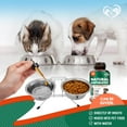 Natural Herbal Antibiotics for Cats and Dogs Kennel Cough Relief