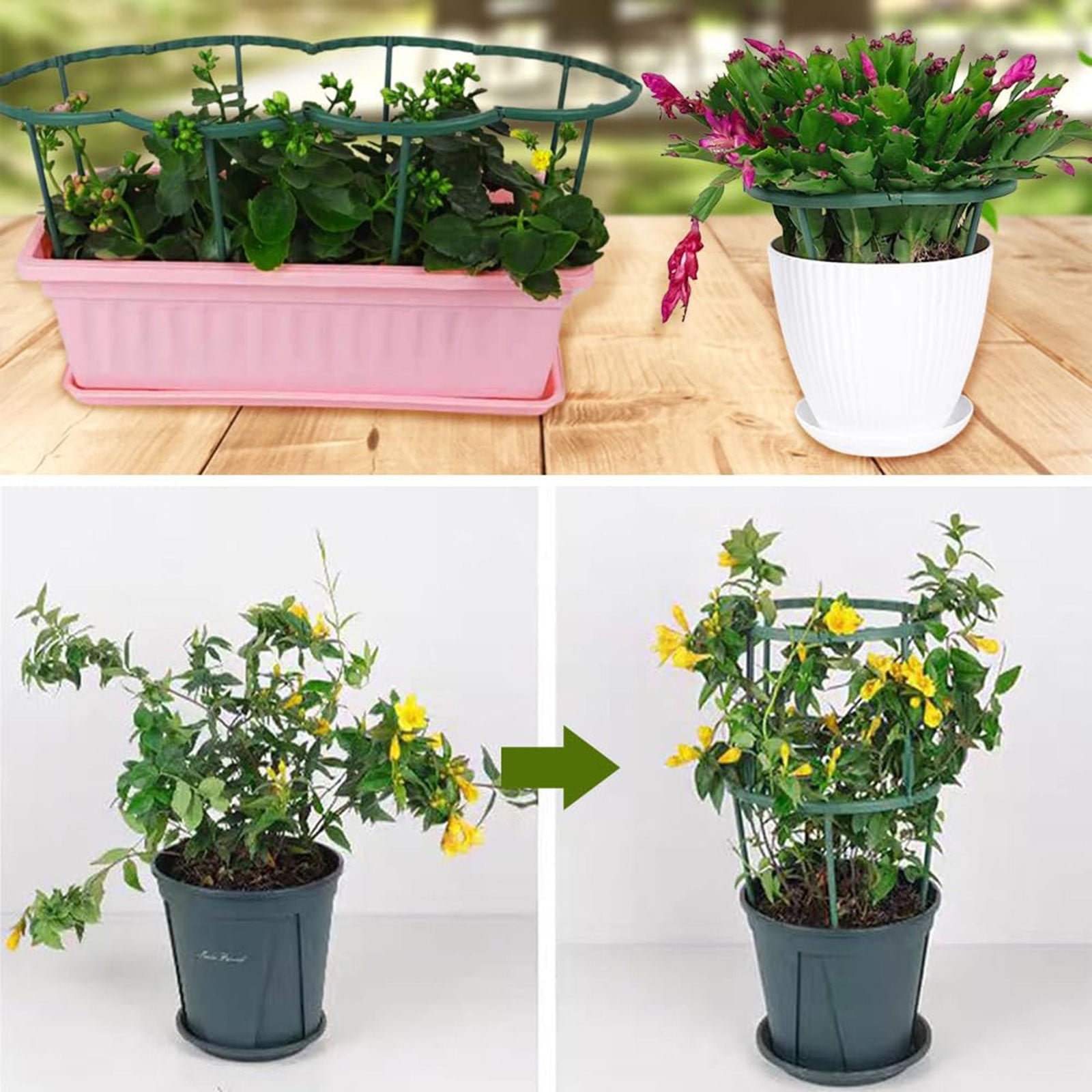 2025 New Support Stake, 6PCS Half Round Support Ring Cage, Flower Pot Climbing Trellis for Clivia, Roses, Hydrangea, Indoor (5.9 x 5.7 in)