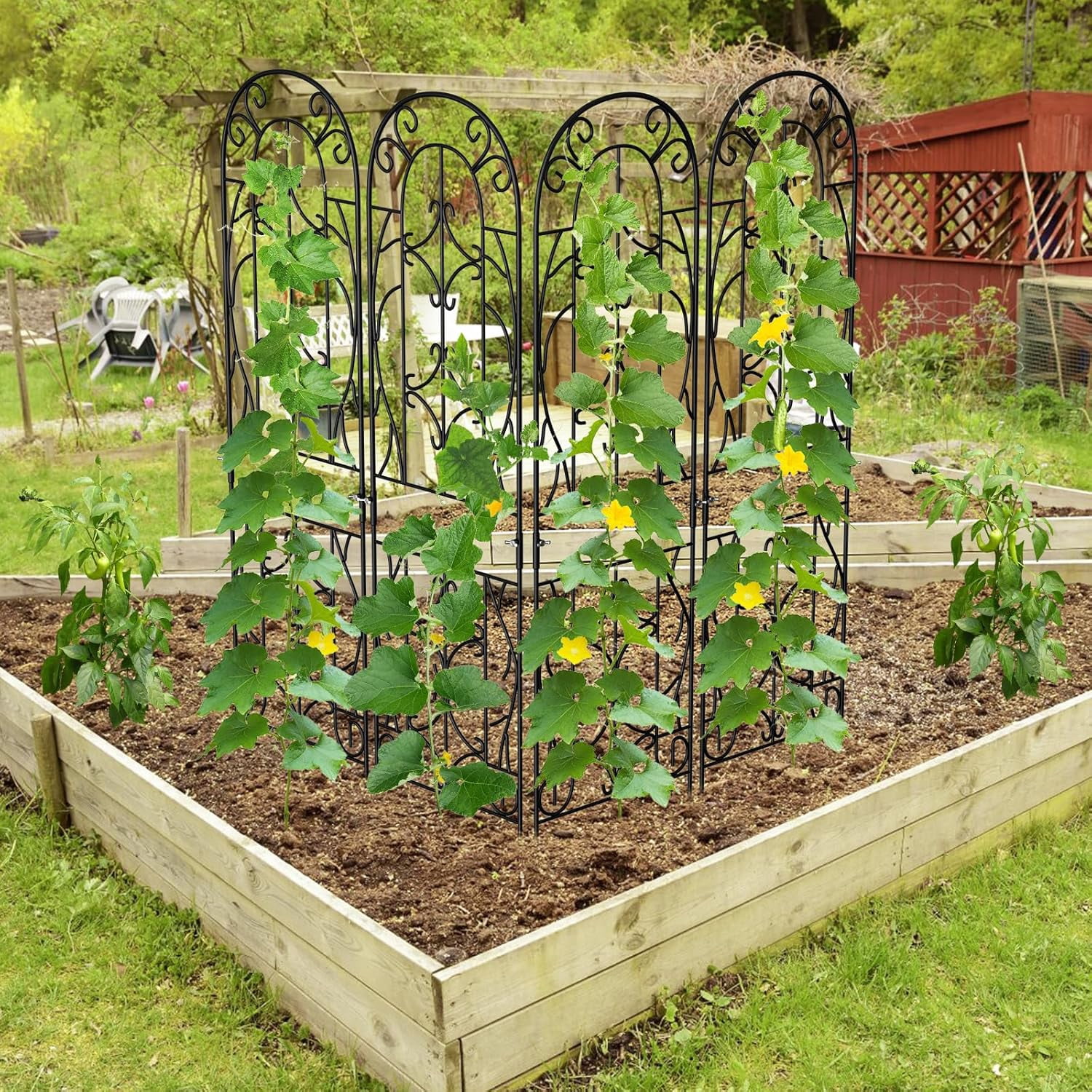 FICISOG 4 Pack 59x16in Metal Garden Trellis for Climbing Plants,Black Large Trellis for Climbing Plants Outdoor, Roses, Vegetables Vines Flowers Support, Large Decorative Outdoor Trellis