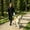 Blue, variant on Dog Leash for Large Medium Small Dog 9.84Ft Retractable Walking Leash with Anti-Slip Handle Heavy Duty Dog Tape for Outdoor Walking Hiking Training 360° Swivel One-Hand Lock