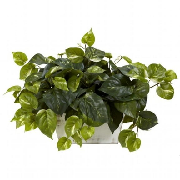 Pothos with White Wash Planter Silk Plant