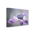 thumbnail image 2 of Keren Or 'Purple Flower' Canvas Art, 2 of 3