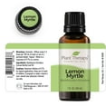 thumbnail image 5 of Plant Therapy Lemon Myrtle Essential Oil 30 mL (1 oz) 100% Pure, Undiluted, Therapeutic Grade, 5 of 7
