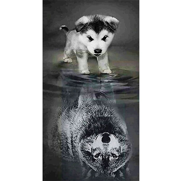 Cuadros Decorativos Perro reflejo lobo pintura al óleo por números Kits DIY pintado a mano sobre lienzo arte Sywqhk Nuevos Originales