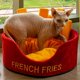 thumbnail image 3 of Cama para gatos, suave, agradable a la piel, lavable en caliente, relleno de algodón PP, lindo cojín para gatitos, cama para interiores, patatas fritas, cama para gatos, 3 of 5