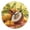 Black, variant on Coconuts Mangos Leaves Cartoon Round Wall Clock Silent Analog Battery Operated Gold Pointer Home Decor 9.84" Diameter