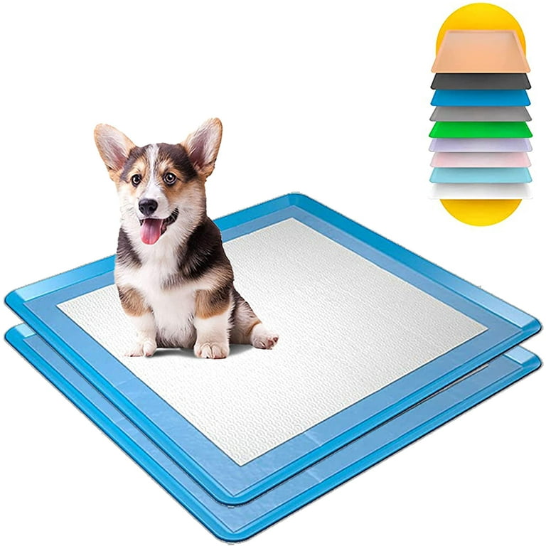 Blue top pee pads