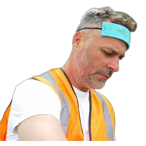 OccuNomix Blue Cellulose Sweatband, 100 PACK (SBR100)