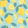 Millie Loves Lily Female Mint Yellow Lemon Long Sleeve Rashguard millie-loves-lily-female-mint-yellow-lemon-long-sleeve-rashguard