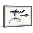 thumbnail image 3 of Marmont Hill Gray Sharks Framed Wall Art, 3 of 5