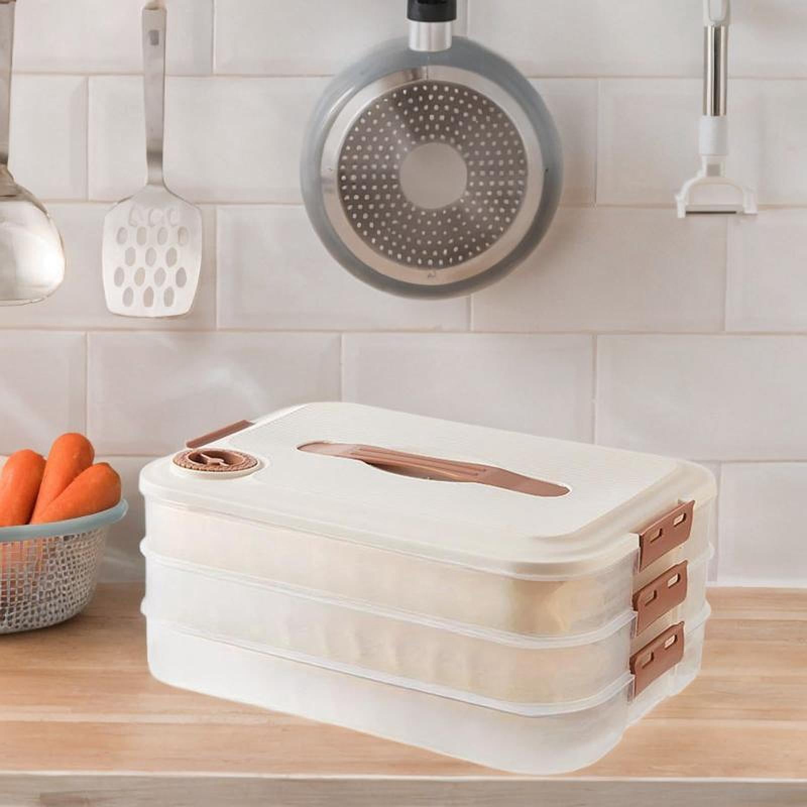 TISHITA Food Storage Container Dumpling Storage Box Reusable Food Preservation Box Refrigerator Organizer for Snack Fridge Three Layers