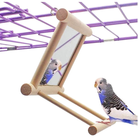 D-GROEE Bird Toy for Parrot Parakeets Cage Swing Wooden Mirror Fun Play Toy for Birds