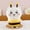 black, variant on Chiikawa Hachi Plushier Cartoon Anime Kawaii Ornament Stuffed Animal Comfortable Soft Doll Gift