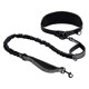 thumbnail image 5 of Correa elástica para perros y medianos con manos libres, correa ajustable para cintura, ideal para pasear, entrenar y trotar., 5 of 9