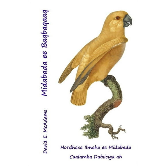 Midabada Dabeecadda Midabada ee Baqbaqaaq: Hordhaca Ilmaha ee Midabada Caalamka Dabiiciga ah, (Paperback)