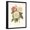 Black Frame, variant on Art.com Vintage Roses II Art Print by Vision Studio, 12" x 16"