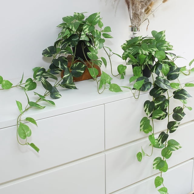 Set de 2 plantas colgantes Pothos artificiales con macetas, color verde dorado