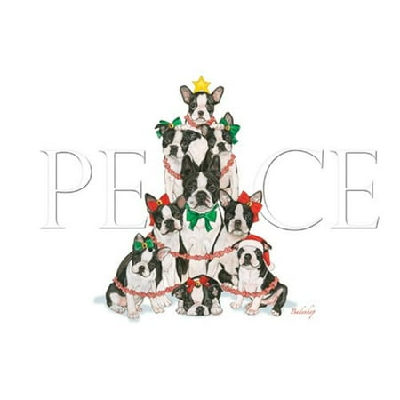 Pipsqueak Productions C542 Holiday Boxed Cards- Boston Terrier