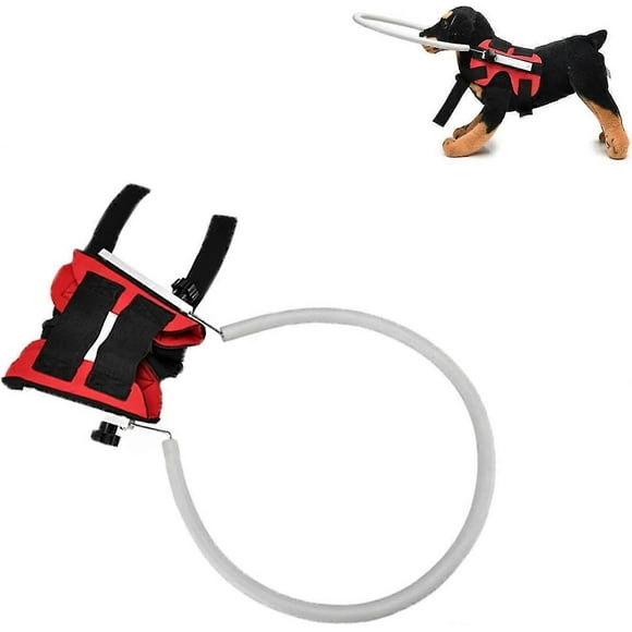 (Red-M)Dog Collision Ring Blind Dog Harness Vest, Blind Dog Anti Collision Ring, Blind Dog Halo, Adjustable Protect Sick Eyes Dogs