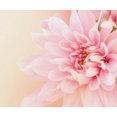 thumbnail image 1 of Fleur d'Illet Rose - Peinture Diamant DIY, 1 of 6