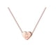thumbnail image 1 of 26 Initial Heart Shape Alphabet Collar para Mujeres Collares de Acero Inoxidable para Mujeres A Z 26 Alphabet Initial Collares de Oro Rosa para Mujeres Niñas, 1 of 5
