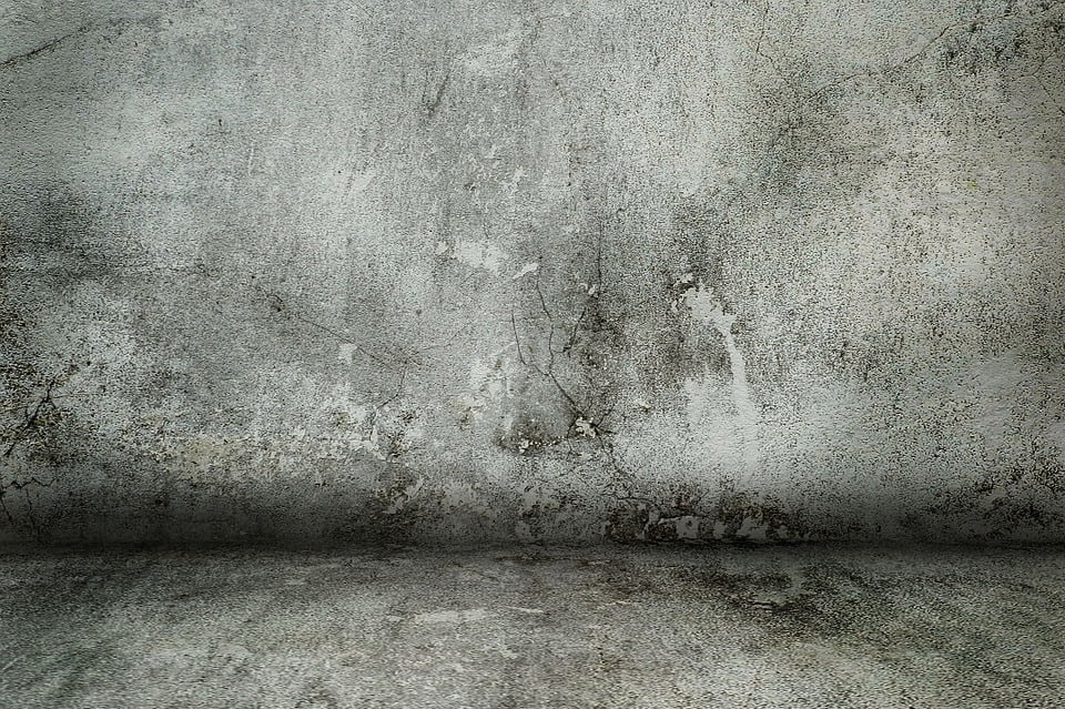 peel-n-stick-poster-of-wall-background-texture-concrete-concrete-wall