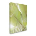 thumbnail image 2 of Stupell Tropical Palm Modern View Botanical & Floral Photography Gallery Wrapped Canvas Print Wall Art, 2 of 5