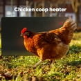 Econohome 150W Safe Chicken Coop Heater, Safer Than Brooder Lamps, ETL Compliant, Also for Pets