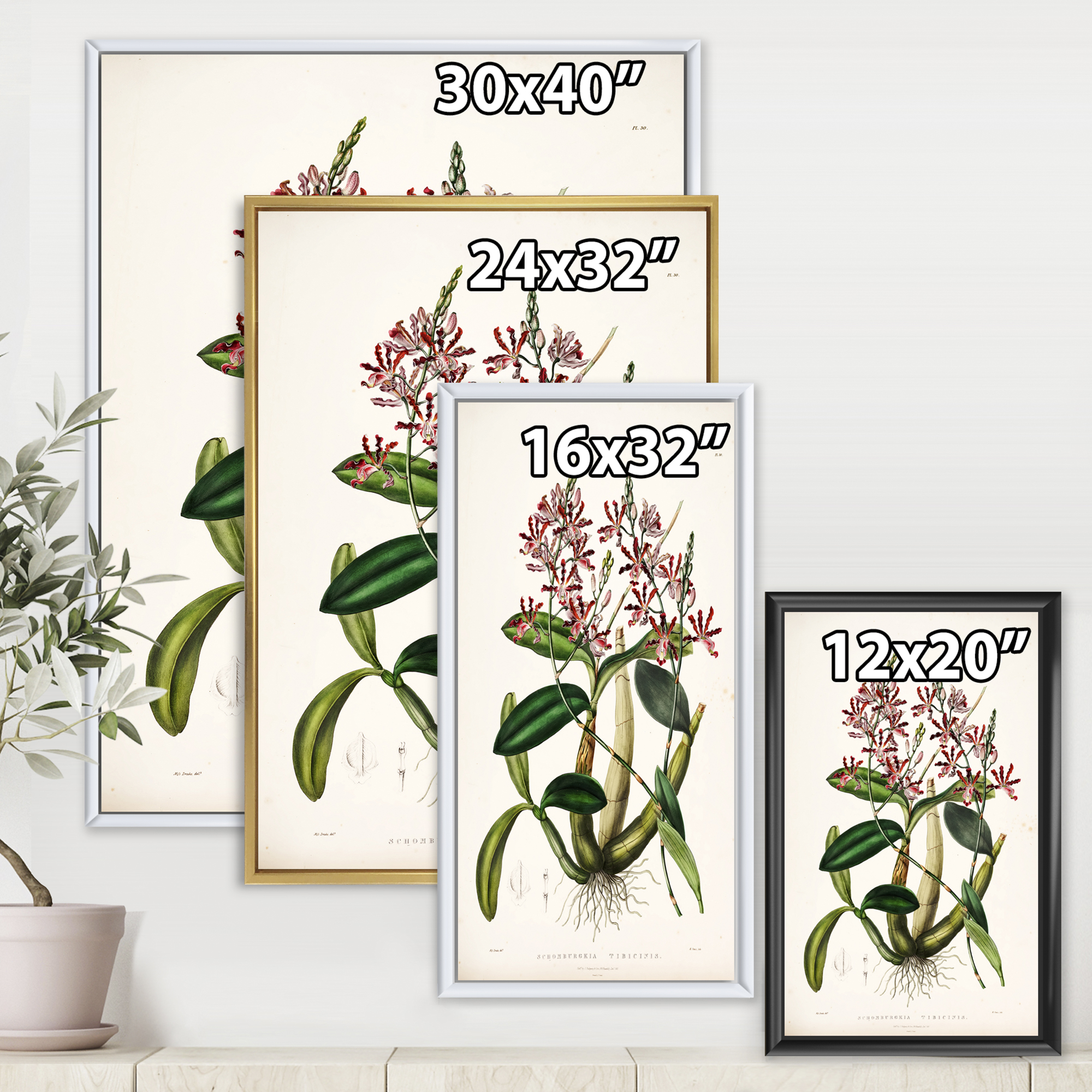 Designart 'Ancient Plant Life VII' Traditional Framed Canvas Wall Art Print