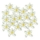 thumbnail image 2 of Cabeza de flor artificial Sunnimix 20 piezas peonía decoración de banquete de boda, 2 of 7