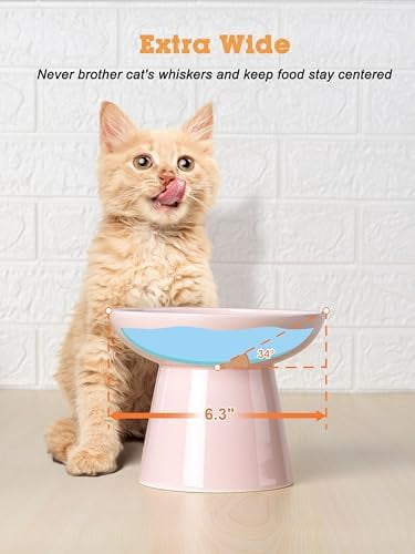 Elevated Cat Food and Water Bowls Set, Extra Wide and Raised Ceramic Feeder, Anti-Vomit Whisker-Free Pressure Feeding Bowl for Kittens Adult Cats Small Dogs(Pink, Food Bowl)