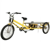 Flatbed Electric Cargo Trike - Efficient Transport