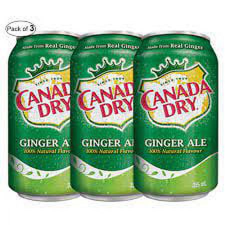 Canada Dry Ginger Ale Fridge Pack Cans, 355 mL, 3 Pack - image 2 of 11