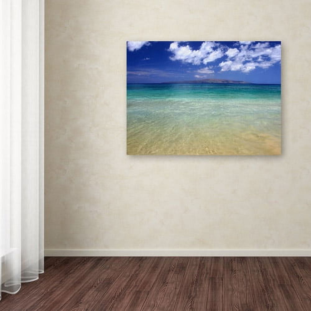 Trademark Fine Art "Hawaii Blue Beach" Canvas Art by Pierre Leclerc
