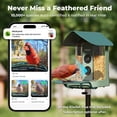 thumbnail image 6 of Kiwibit Smart Bird Feeder with Camera, 4K Ultra HD Video, AI Identify 10000+ Species, Easy Setup&Durable, Ideal Gift for Bird Lovers, Forest Birch, 6 of 11