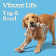 thumbnail image 4 of Vibrant Life Multicolor 4-Knot Rope Dog Toy, Chew Level 2, 4 of 9