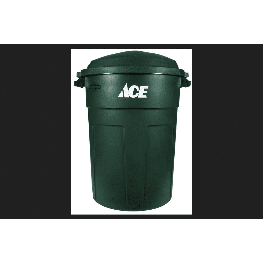 Ace 32 gal. Plastic Garbage Can