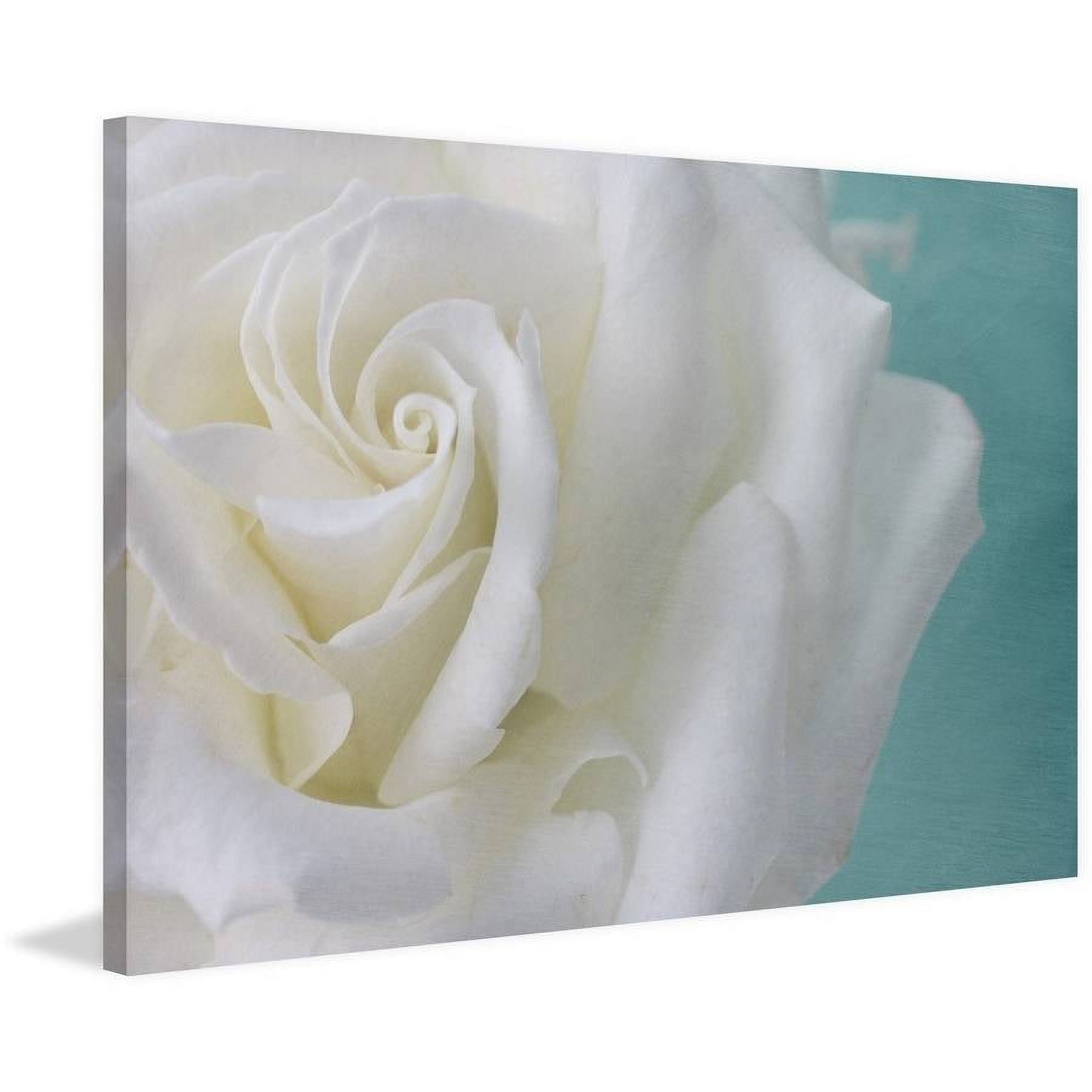 "Purity of the White Rose" Painting Print on Wrapped Canvas
