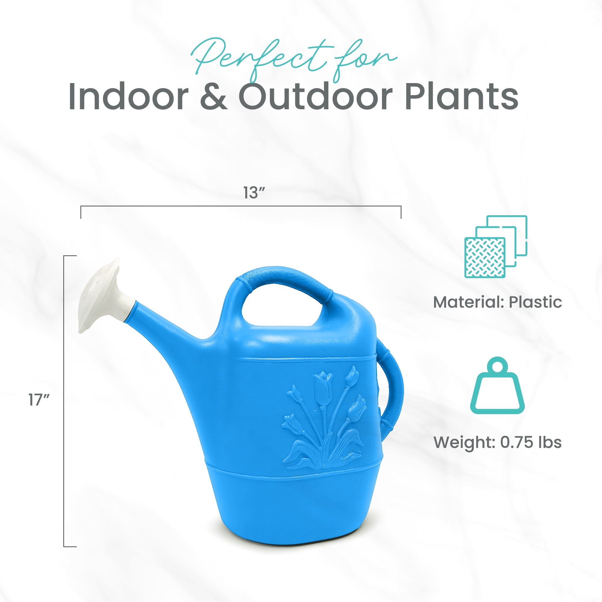 Union Products 63066 2 Gallon Garden Plastic Watering Can, Caribbean Blue