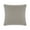 Silver Velvet, variant on Coordinating Pillow - 20x20 - Silver Velvet