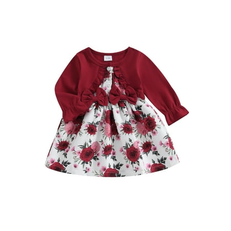 

GXFC Baby Girls Fall Dress Clothes 6M 1T 2T 3T Toddler Girls Long Sleeve Floral A-line Dress Spring Autumn Princess Dress Clothing for Kids Girls