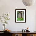 thumbnail image 4 of Hawaii, Maui, Rainbow Eucalyptus Trees, Botanical Framed Art Print Wall Art by Terry Eggers Sold by Art.Com, 4 of 6